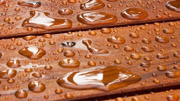 Наука современных покрытий: от формулы к функциональности